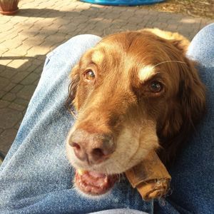 Meet your Posher, Thomas